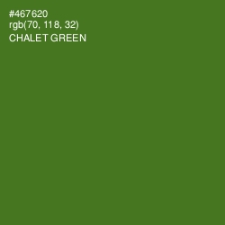 #467620 - Chalet Green Color Image